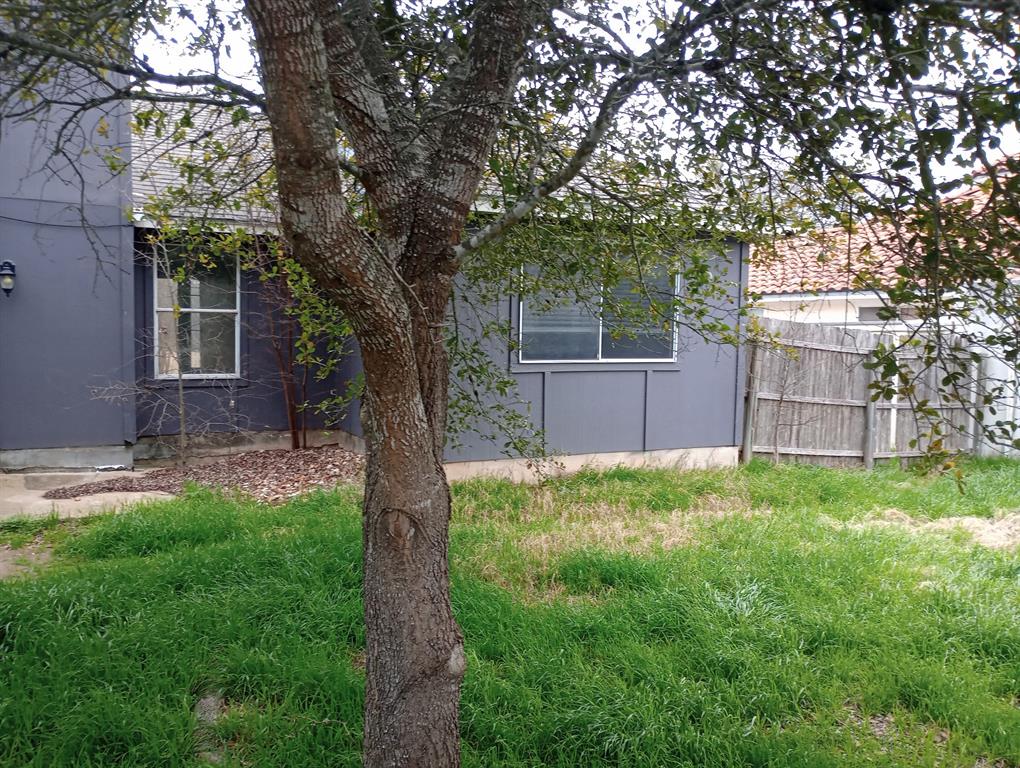 193 Oak River Drive, Cedar Creek, Texas image 5
