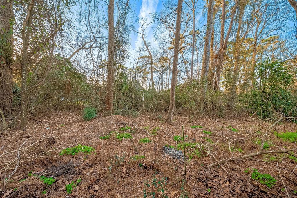 2810 Elm Grove Court, Houston, Texas image 29