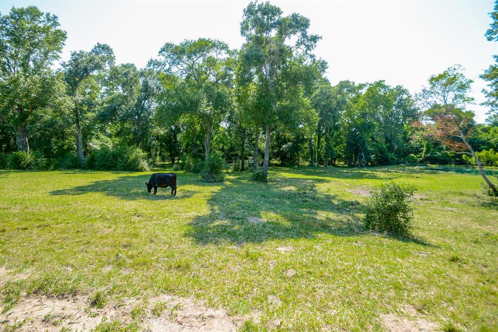 28327 Clarke Bottom Road, Hempstead, Texas image 3