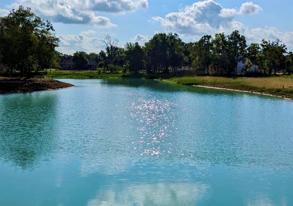 2702 Whispering Pine Drive, Alvin, Texas image 13