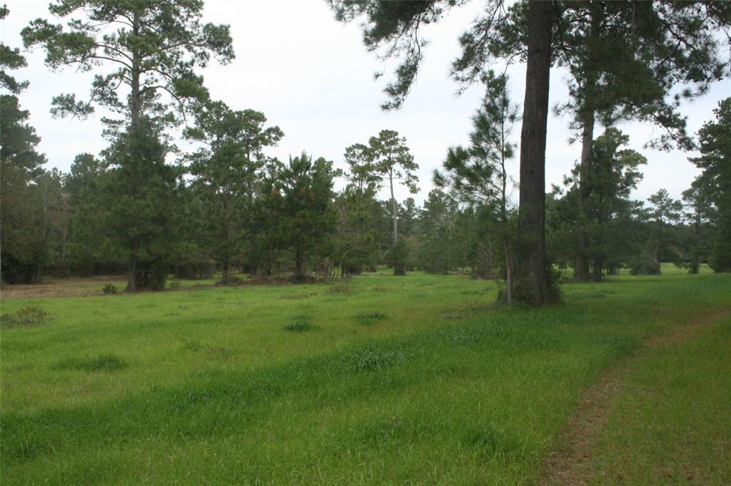 9000 N County Road 355, Plantersville, Texas image 4