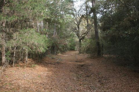 Vacant Land For Sale - 9000 N County Road 355<br/> Plantersville, TX 77363