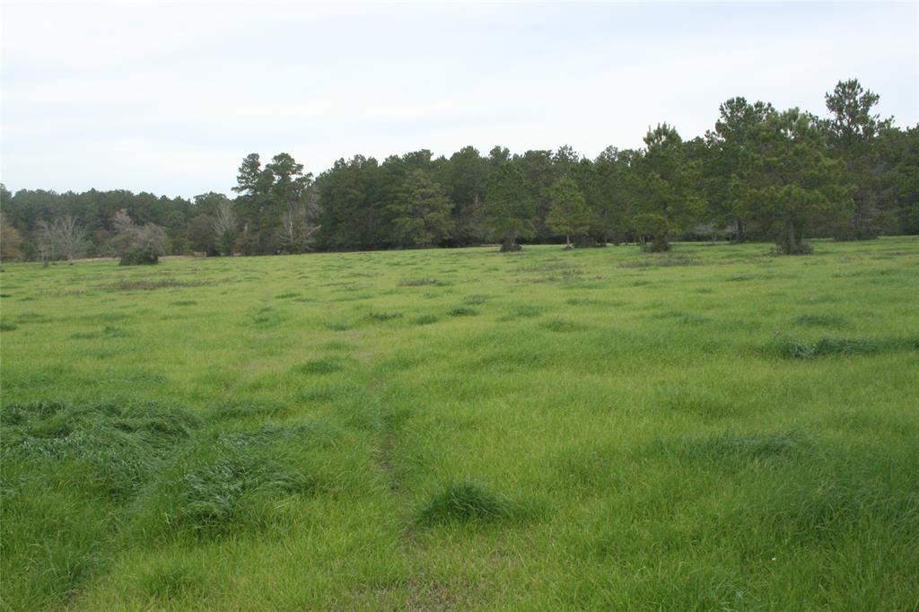 9000 N County Road 355, Plantersville, Texas image 5