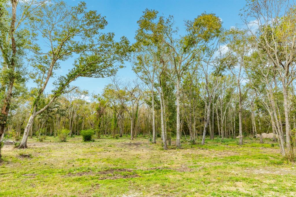 Cr-409, Sweeny, Texas image 2