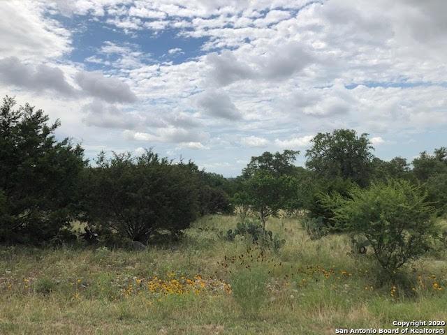 512 Paradise Hills, New Braunfels, Texas image 6
