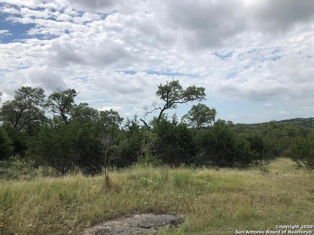 512 Paradise Hills, New Braunfels, Texas image 5