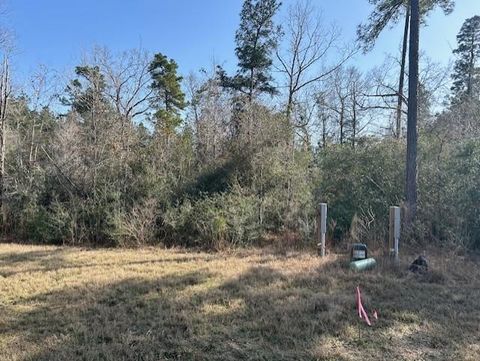 Photo of 380 Iron Horse Road, New Waverly, TX 77358 (MLS # 87577847)
