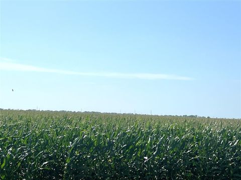 Vacant Land For Sale - 00 County Road 403<br/> El Campo, TX 77437