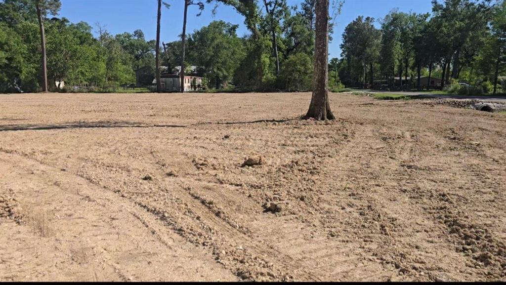 20687 Alexander Lane, Porter, Texas image 3