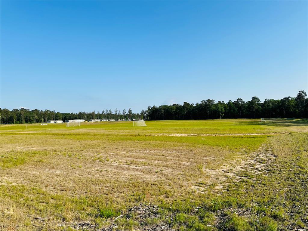 18607 Murdoch Drive, Conroe, Texas image 3
