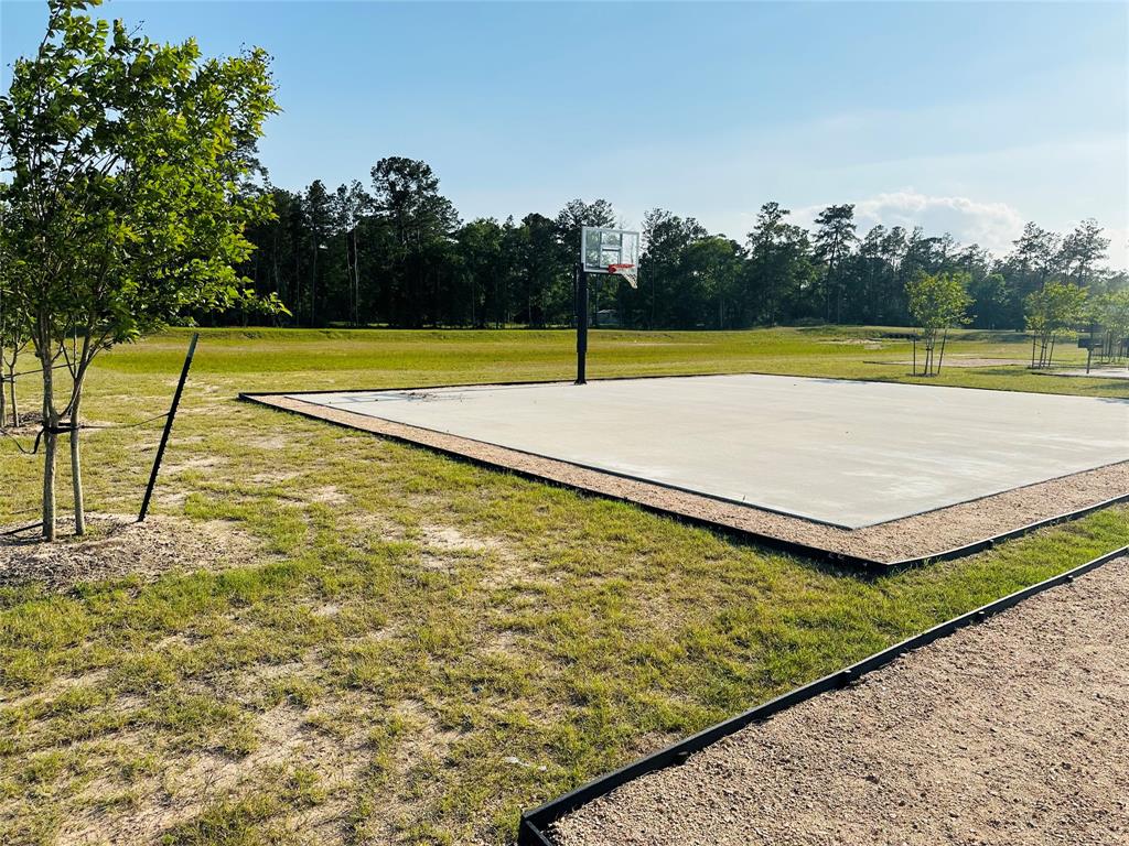 18607 Murdoch Drive, Conroe, Texas image 7