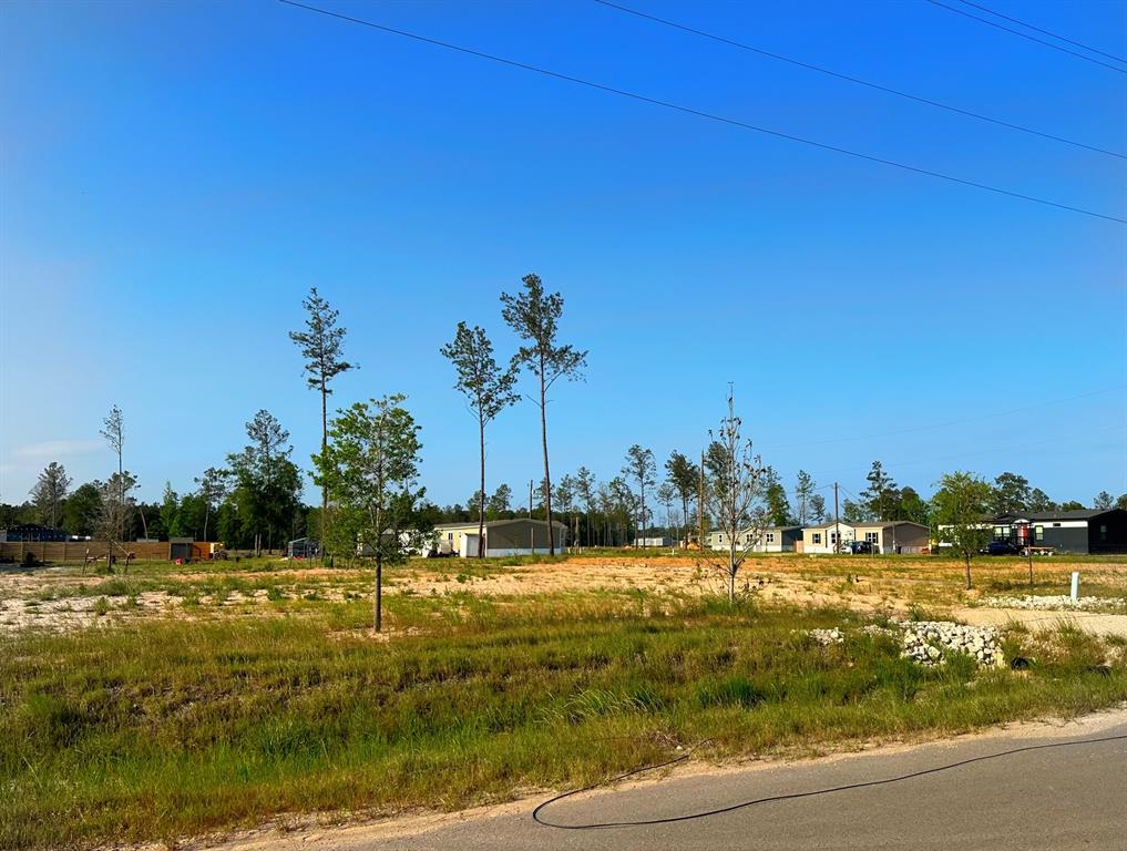 18607 Murdoch Drive, Conroe, Texas image 2