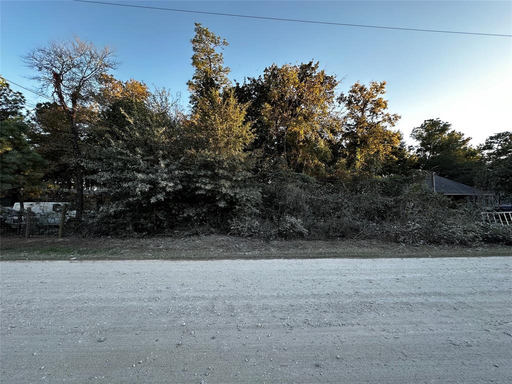 Lot 5 Tawnyberry- Lane, Plantersville, Texas image 3