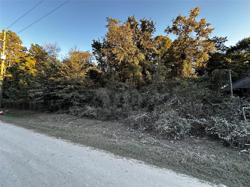 Lot 5 Tawnyberry- Lane, Plantersville, Texas image 7