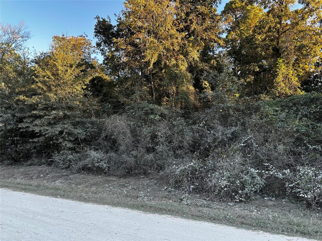 Lot 5 Tawnyberry- Lane, Plantersville, Texas image 6