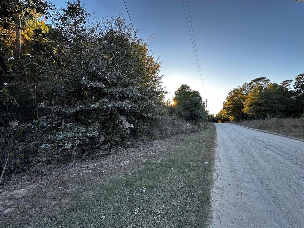 Lot 5 Tawnyberry- Lane, Plantersville, Texas image 9