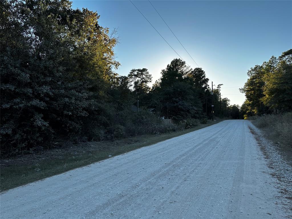 Lot 5 Tawnyberry- Lane, Plantersville, Texas image 10