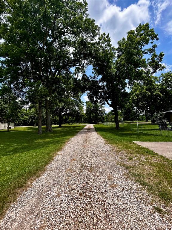 125 Mimosa Point Pt, Livingston, Texas image 23