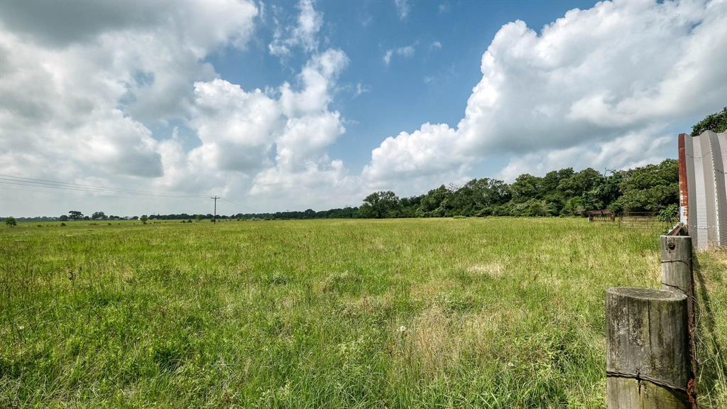 TBD Fm 1488 - North End Tract 1, Hempstead, Texas image 5