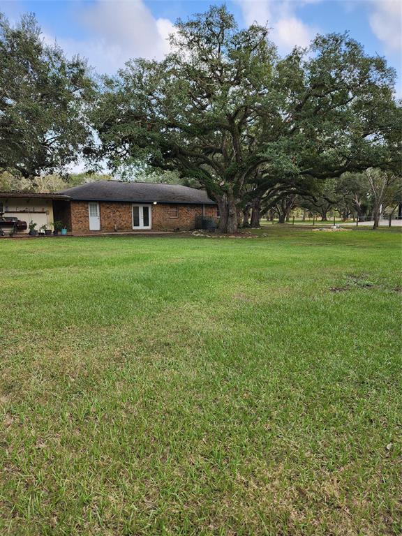 4311 Cr 417 Hoffman Rd, Markham, Texas image 21