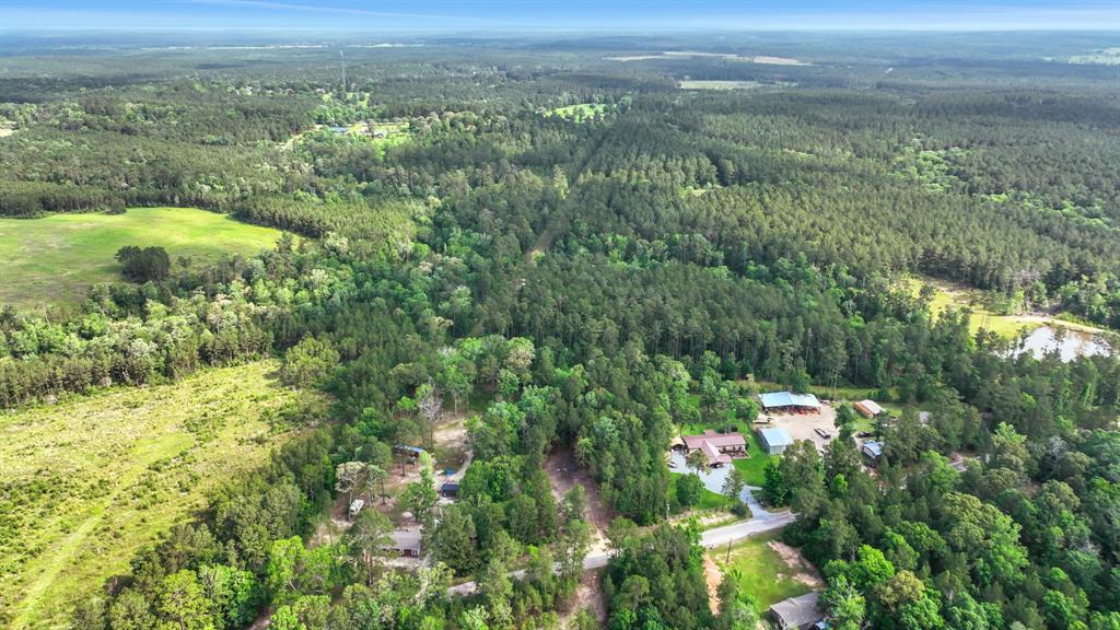 Sugar Hill Road, Livingston, Texas image 11
