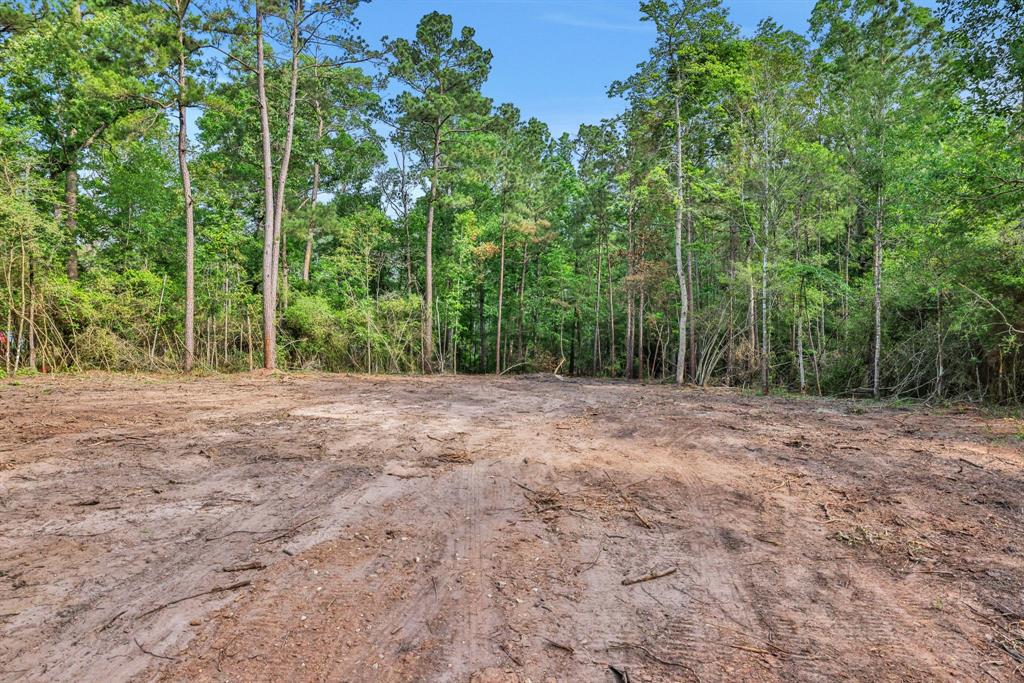 Sugar Hill Road, Livingston, Texas image 4