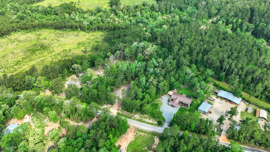 Sugar Hill Road, Livingston, Texas image 10