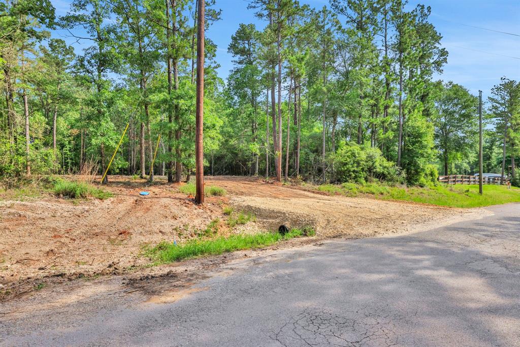 Sugar Hill Road, Livingston, Texas image 3