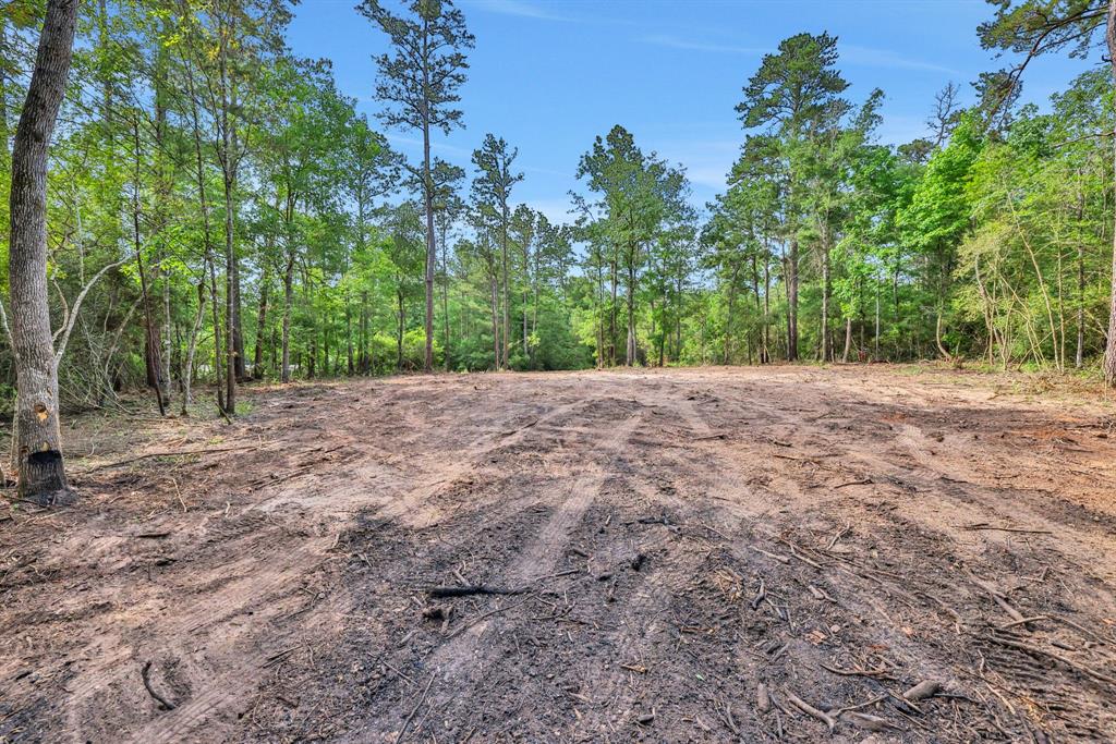 Sugar Hill Road, Livingston, Texas image 5