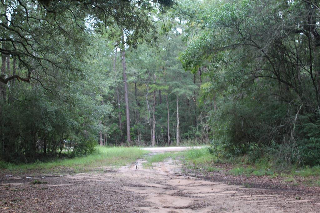 15780 Fm 1725 Road, Cleveland, Texas image 1