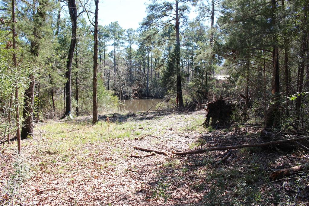 Lot 68 Hidden Lane, Trinity, Texas image 4