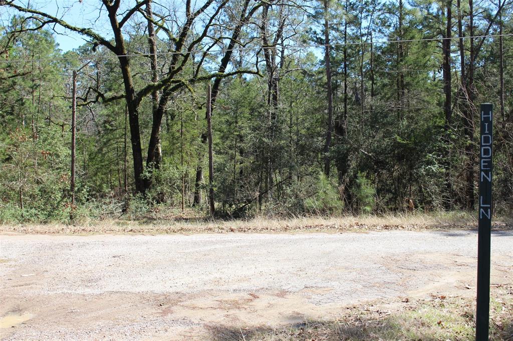 Lot 68 Hidden Lane, Trinity, Texas image 3