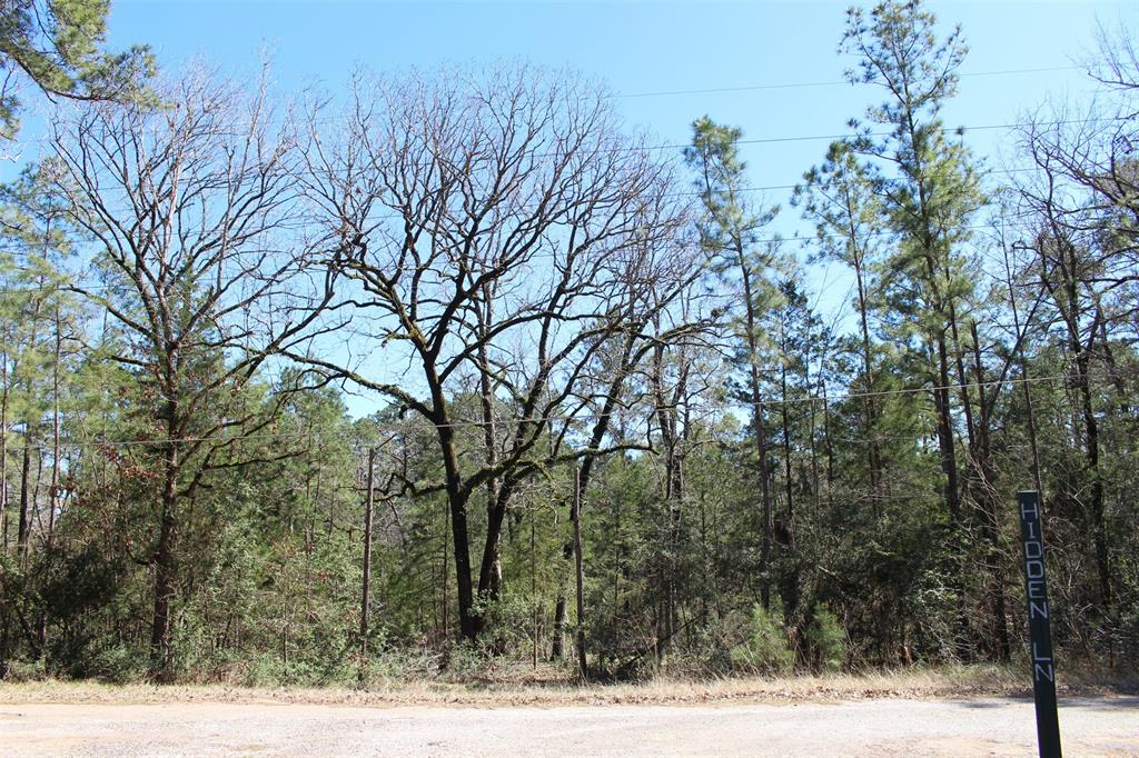 Lot 68 Hidden Lane, Trinity, Texas image 6