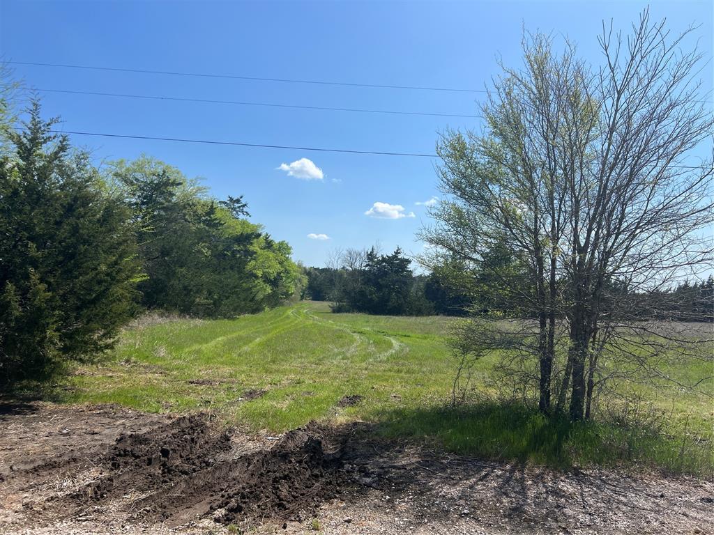 Lot #8 Fm 2562 Road, Anderson, Texas image 4