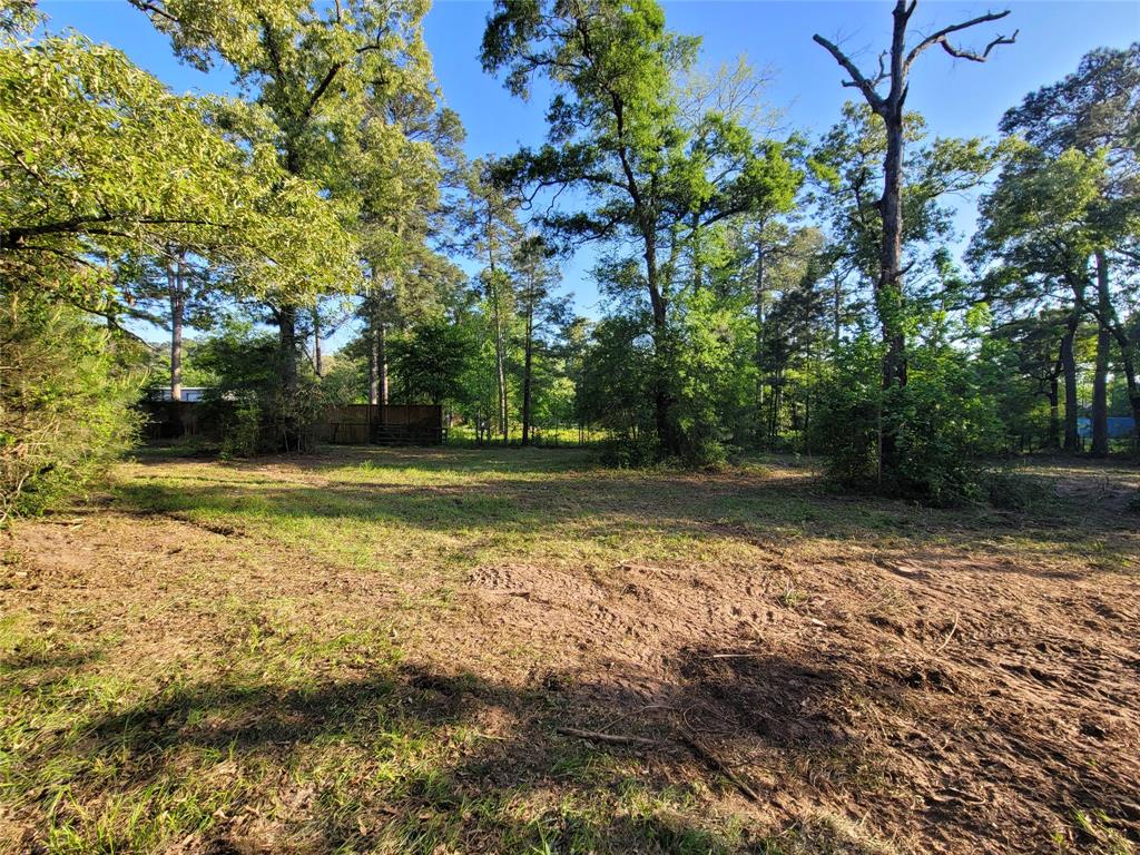 19588 Alford Road, Magnolia, Texas image 2