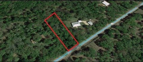 Photo of 8301 Brazos River Road, Damon, TX 77430 (MLS # 17761722)