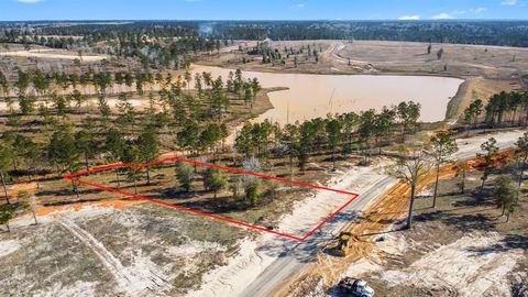 TBD Western Livingston TX 77351