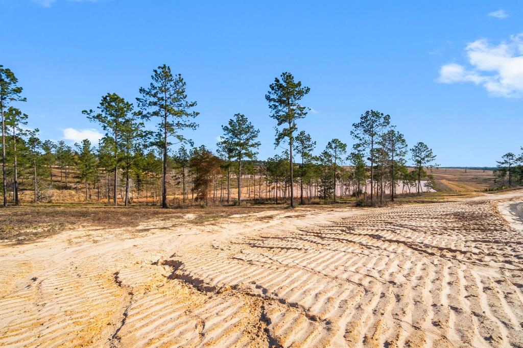 TBD Western, Livingston, Texas image 18