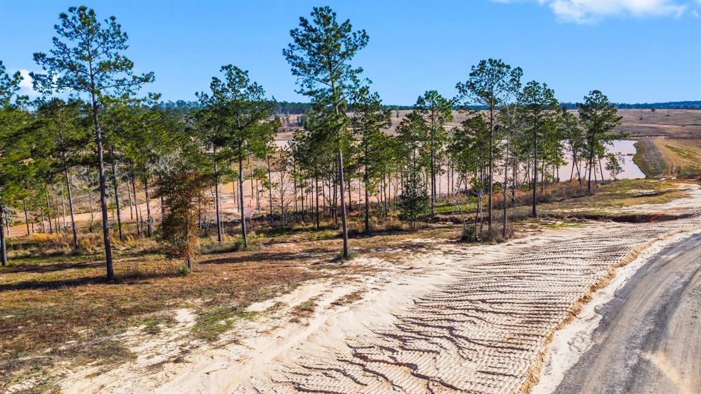 TBD Western, Livingston, Texas image 16