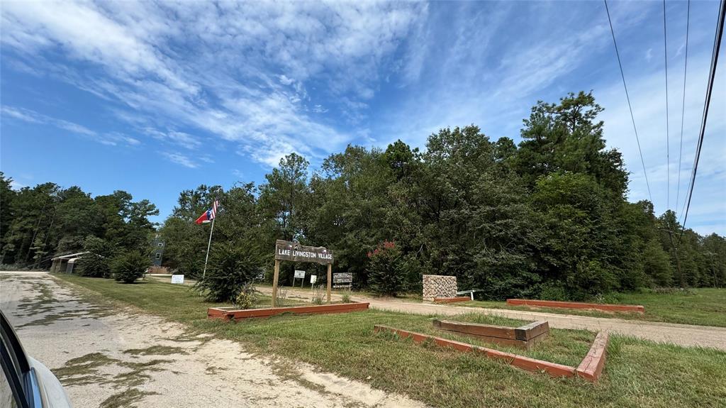 Brackenridge, Livingston, Texas image 2