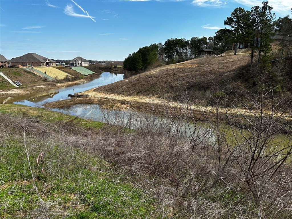 19150 Grandview Point, Montgomery, Texas image 8