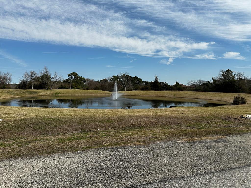 19150 Grandview Point, Montgomery, Texas image 2