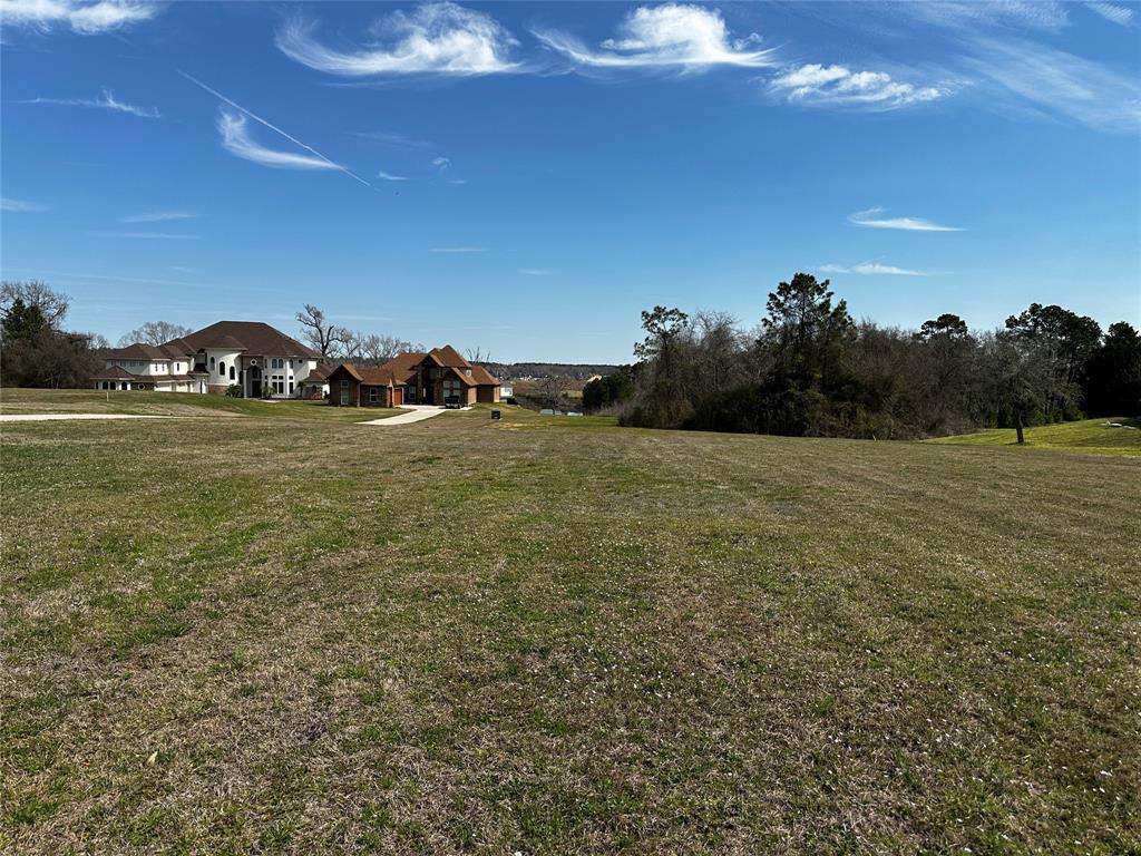19150 Grandview Point, Montgomery, Texas image 3
