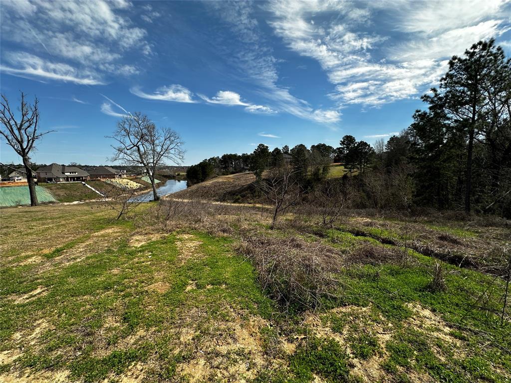19150 Grandview Point, Montgomery, Texas image 7