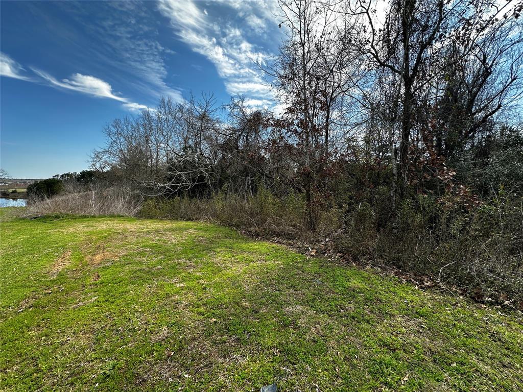 19150 Grandview Point, Montgomery, Texas image 6