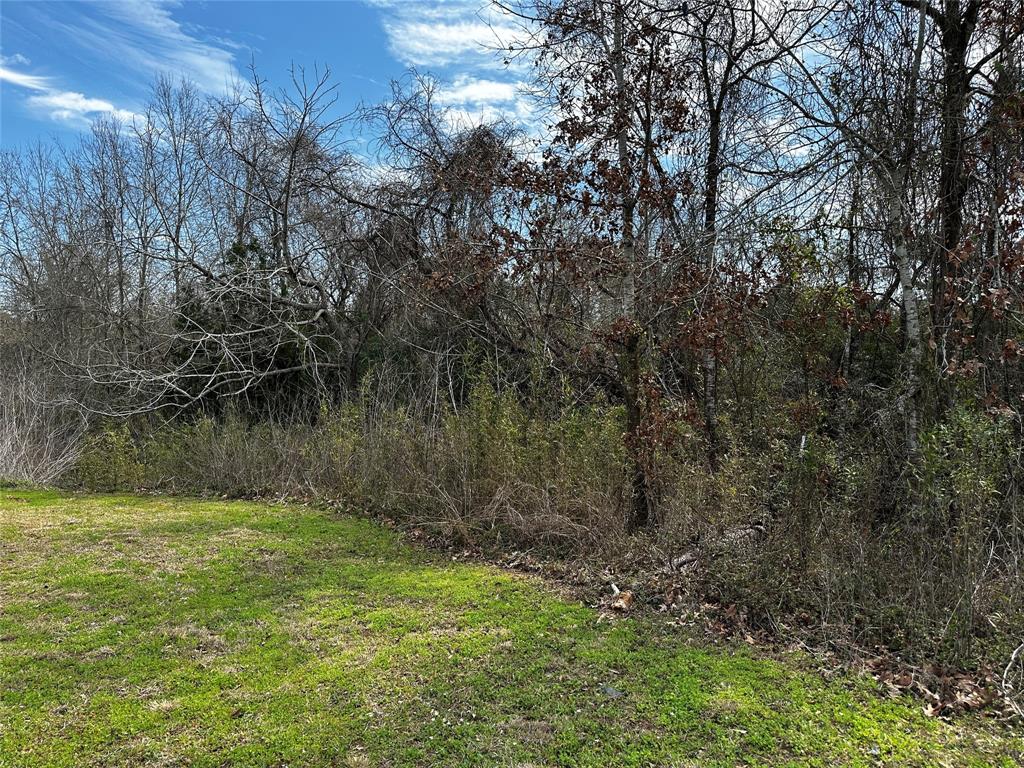 19150 Grandview Point, Montgomery, Texas image 5
