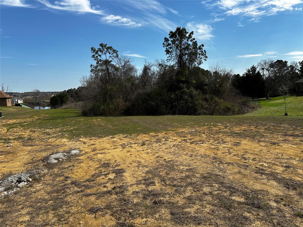 19150 Grandview Point, Montgomery, Texas image 4