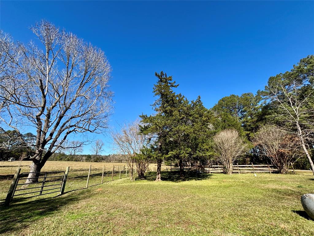 361 County Road 2570, Colmesneil, Texas image 13