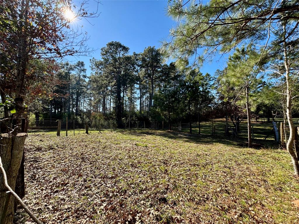 361 County Road 2570, Colmesneil, Texas image 8