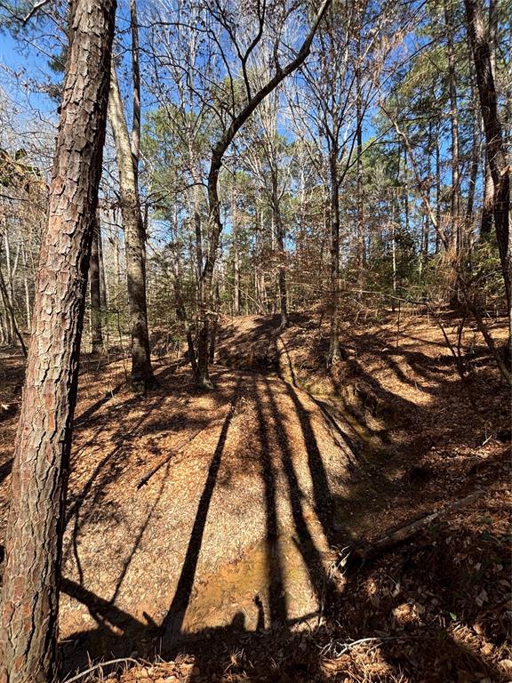 361 County Road 2570, Colmesneil, Texas image 37